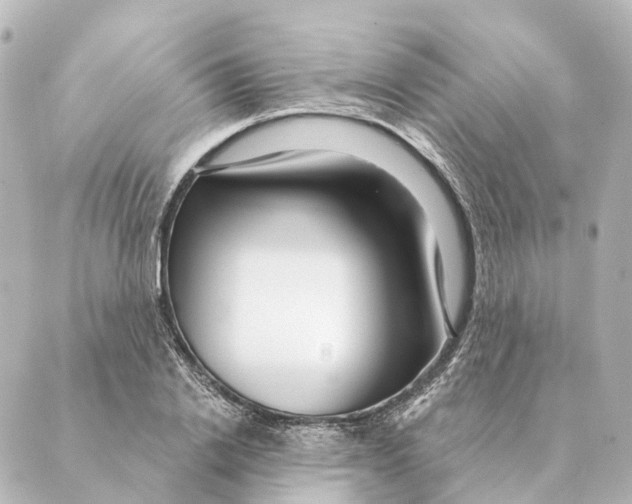 X0000088630838200706221518