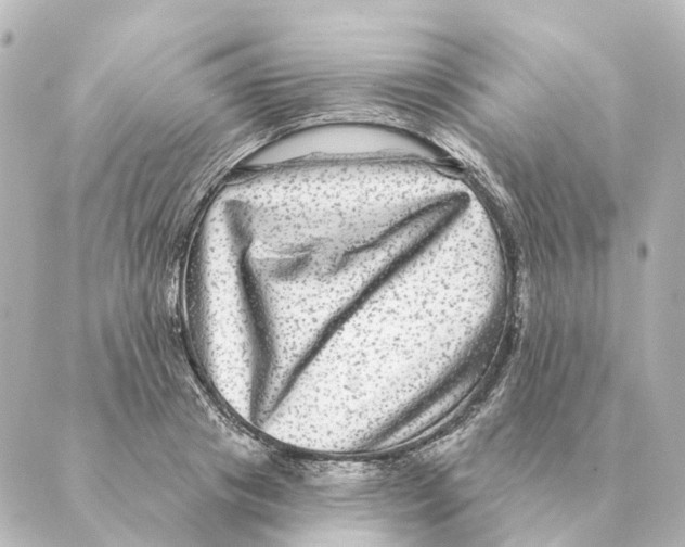 X0000088630841200706221518