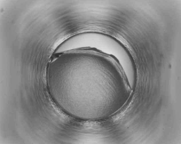 X0000088630842200706221518