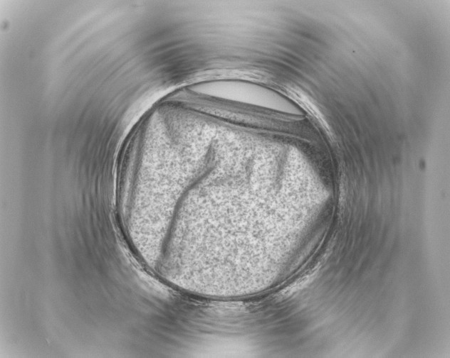 X0000088630844200706221518