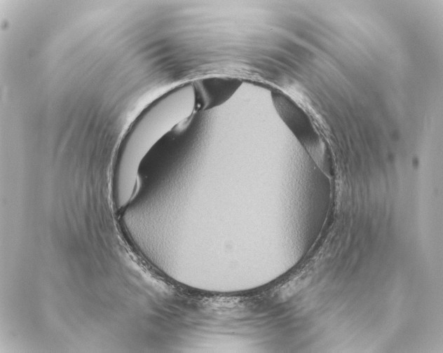 X0000088630846200706221518