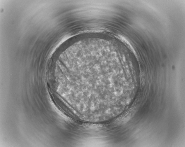 X0000088630851200706221518