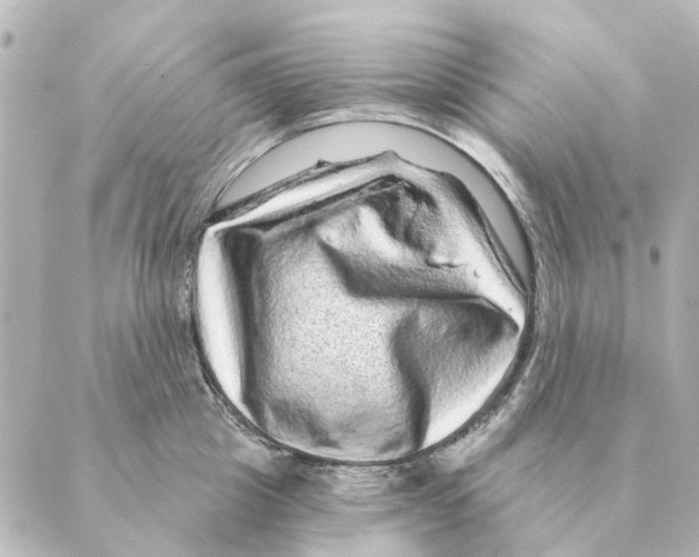 X0000088630857200706221518