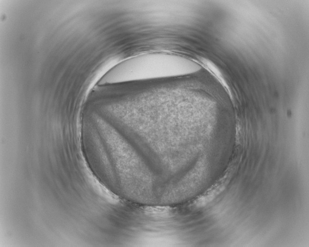 X0000088630859200706221519