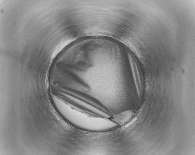 X0000088630885200706221518