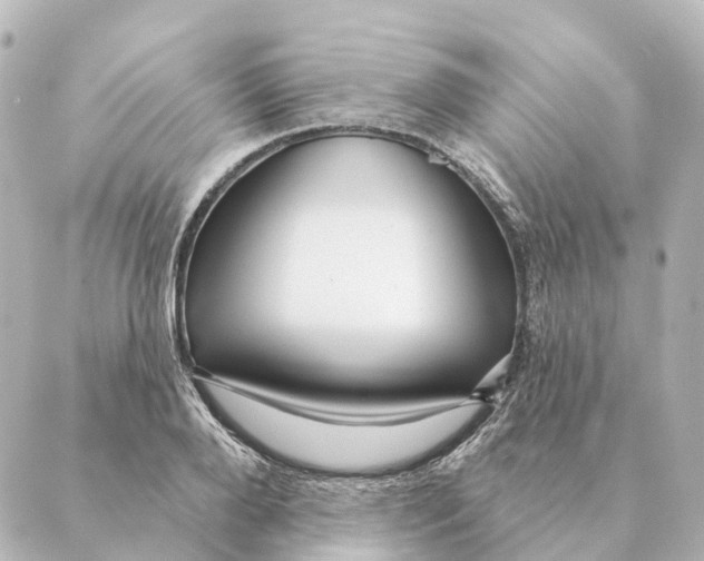 X0000088630888200706221517