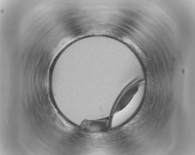 X0000088630894200706221517