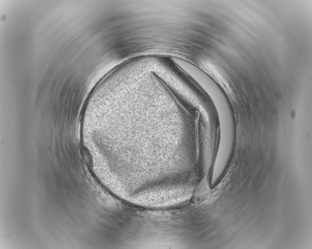 X0000088630900200706221517