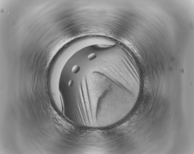 X0000088630926200706221517
