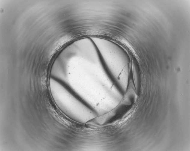 X0000088630930200706221517