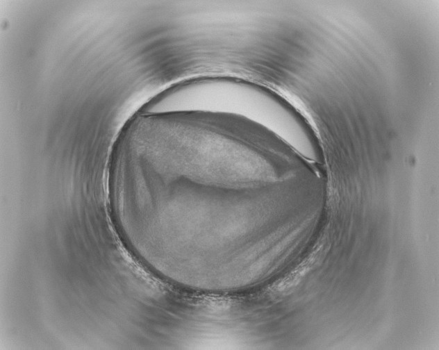 X0000088630935200706221517
