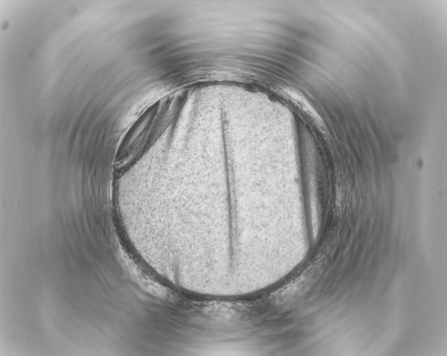 X0000088630938200706221517
