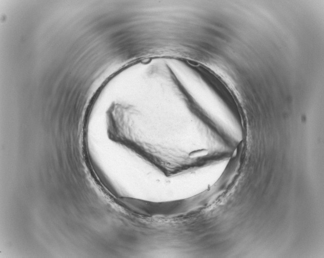 X0000088630949200706221517