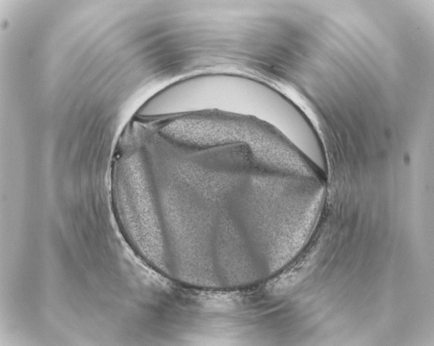 X0000088630951200706221517