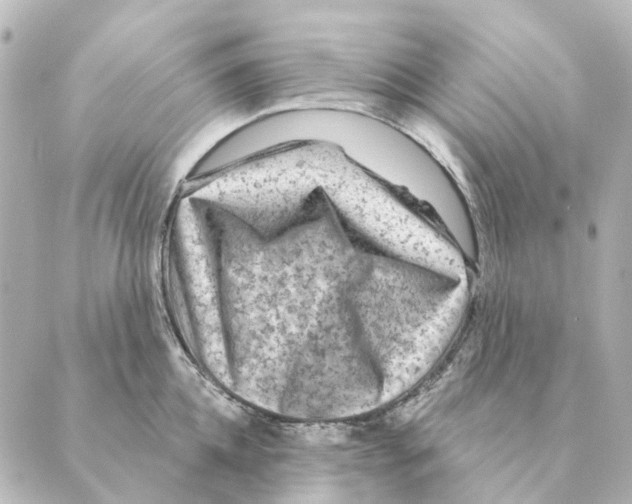 X0000088630952200706221517