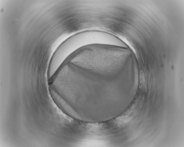 X0000088630959200706221517