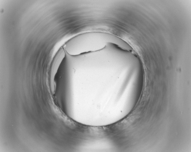 X0000088630960200706221517