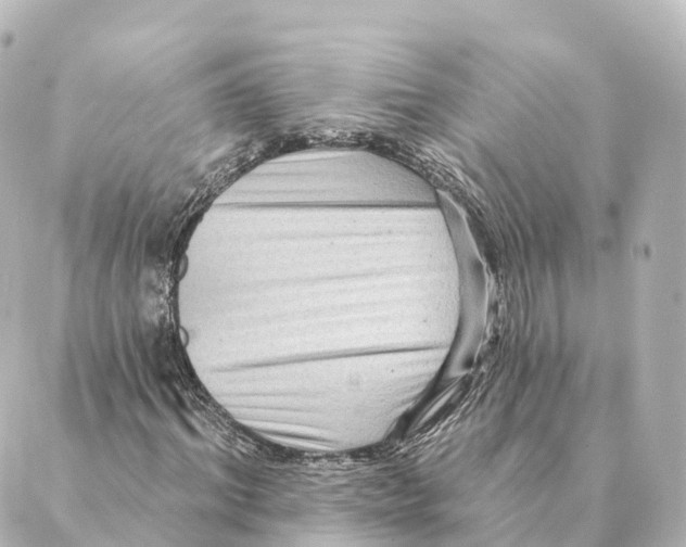 X0000088630964200706221516