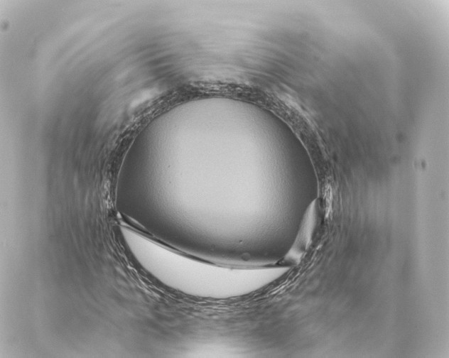 X0000088630965200706221516