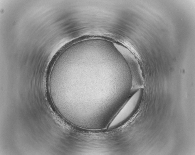 X0000088630976200706221516