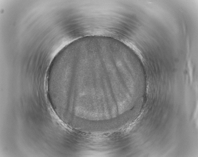 X0000088630983200706221516