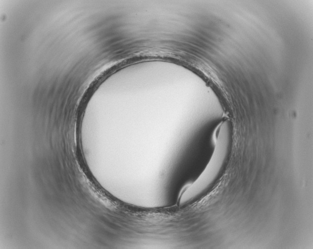 X0000088630984200706221516