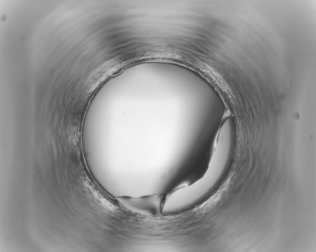 X0000088630985200706221516