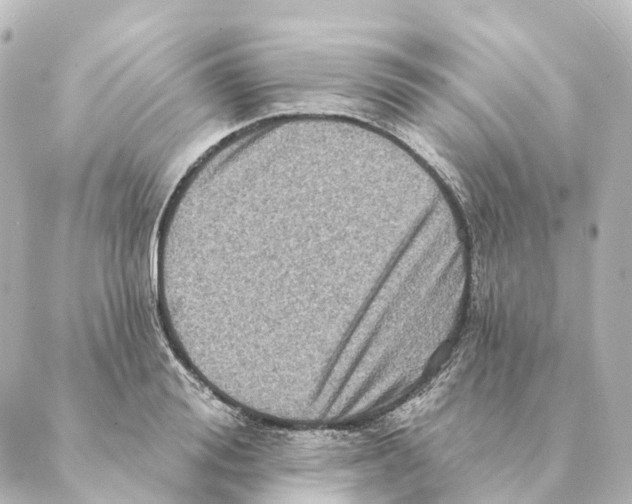 X0000088630988200706221516