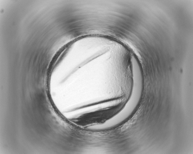 X0000088630991200706221516