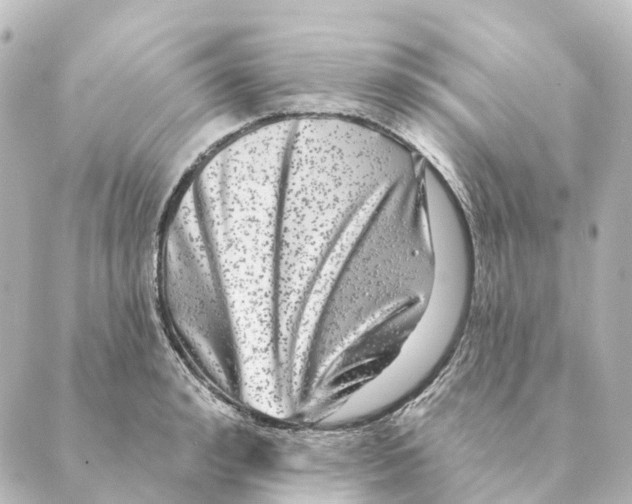 X0000088630992200706221516