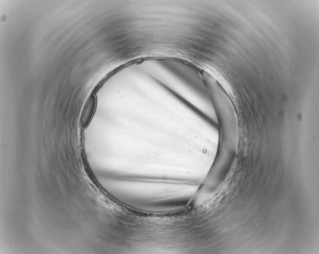 X0000088630996200706221516