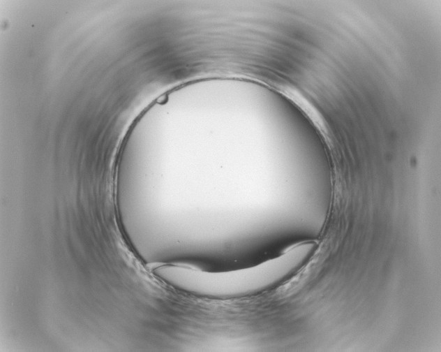 X0000088631004200706221516