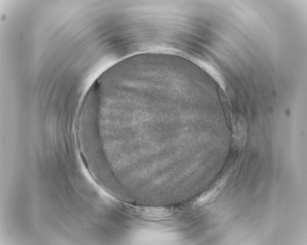 X0000088631007200706221516