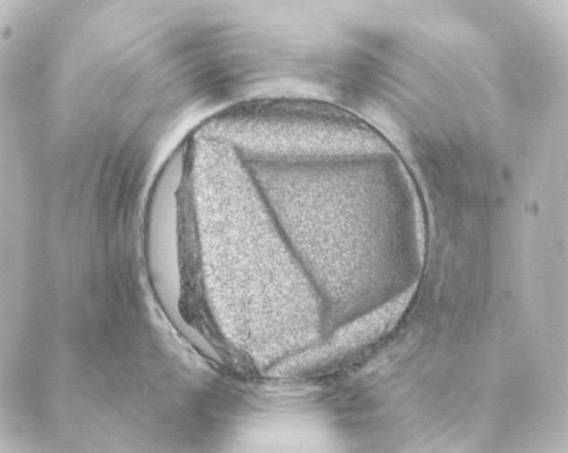 X0000088631008200706221516
