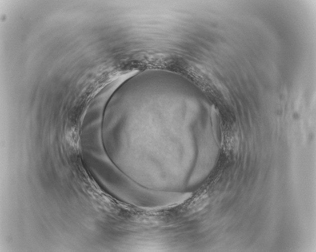 X0000088631010200706221515