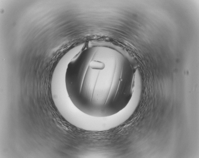 X0000088631014200706221515