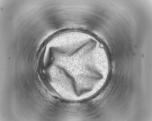 X0000088631021200706221515