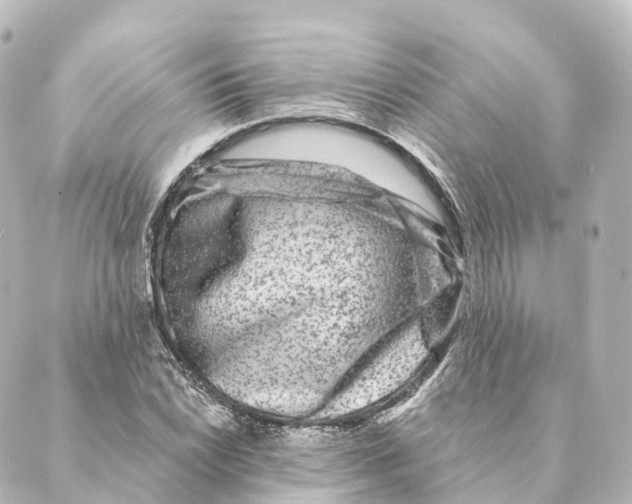 X0000088631022200706221515