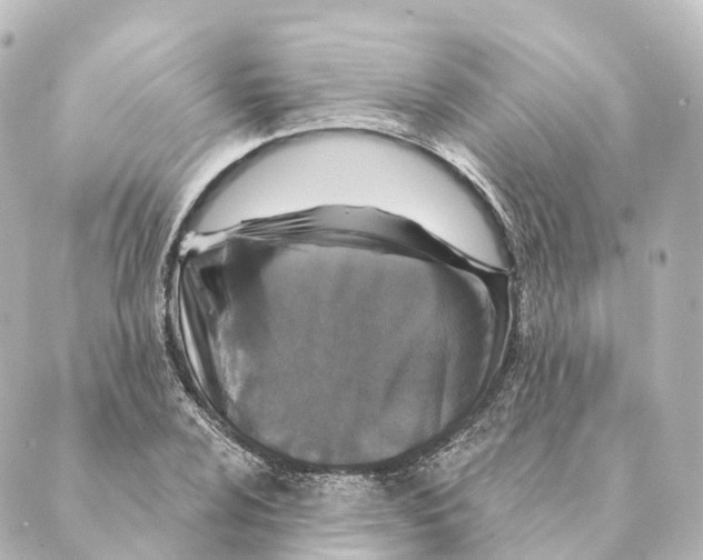 X0000088631024200706221515