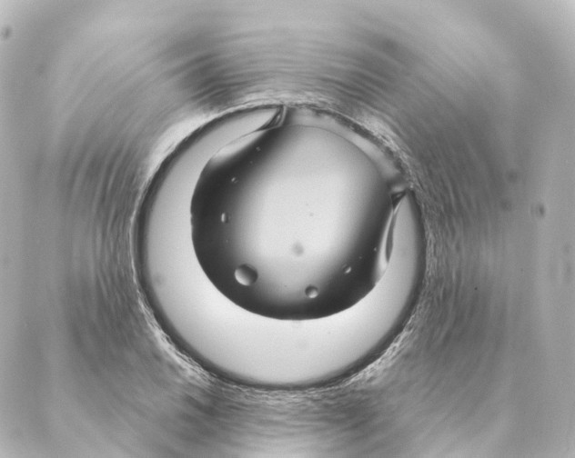 X0000088631030200706221515