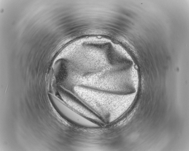 X0000088631033200706221515