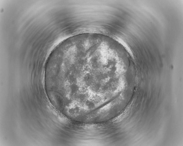 X0000088631035200706221515