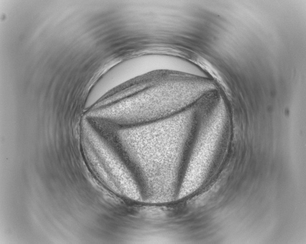 X0000088631049200706221515
