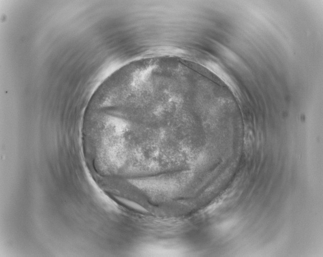 X0000088631055200706221515