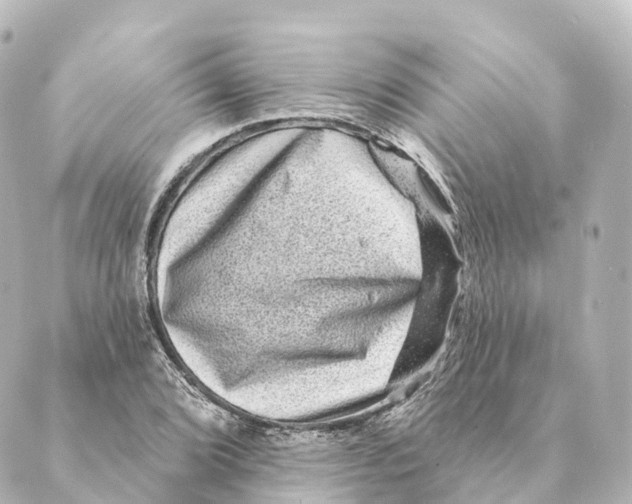 X0000088631072200706221514