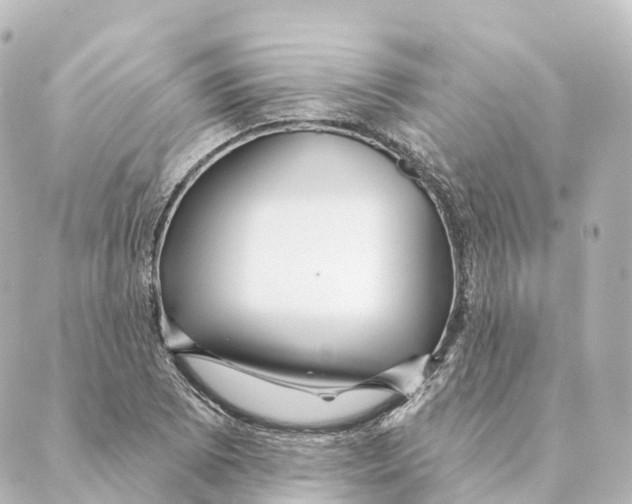 X0000088631073200706221514