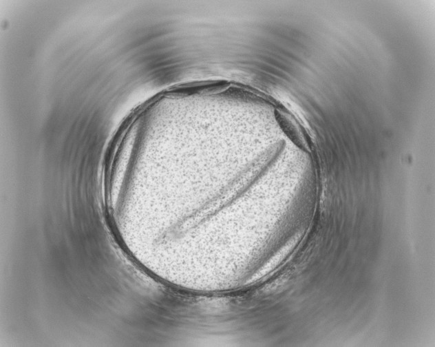 X0000088631080200706221514