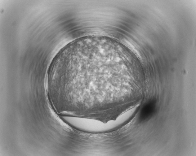 X0000088631084200706221514