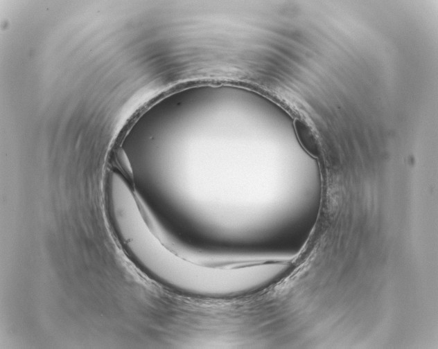 X0000088631085200706221514