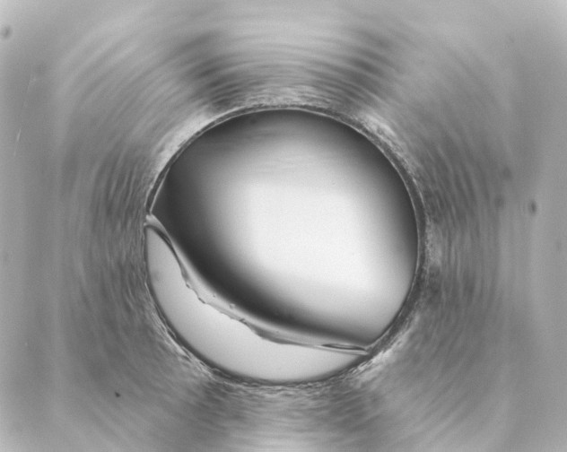 X0000088631089200706221514